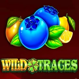 Wild Traces online slot from Amusnet Interactive – play at berriezcasinos-fi.com